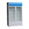 réfrigérateur commercial de merchandisage de GAZ du congélateur R290 de la porte 6.2A en verre