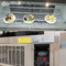 R134a a frigorifié le réfrigérateur de gâteau d'étalage de Secop de cas d'épicerie